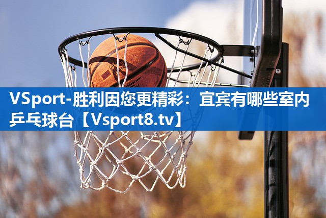 VSport-胜利因您更精彩：宜宾有哪些室内乒乓球台