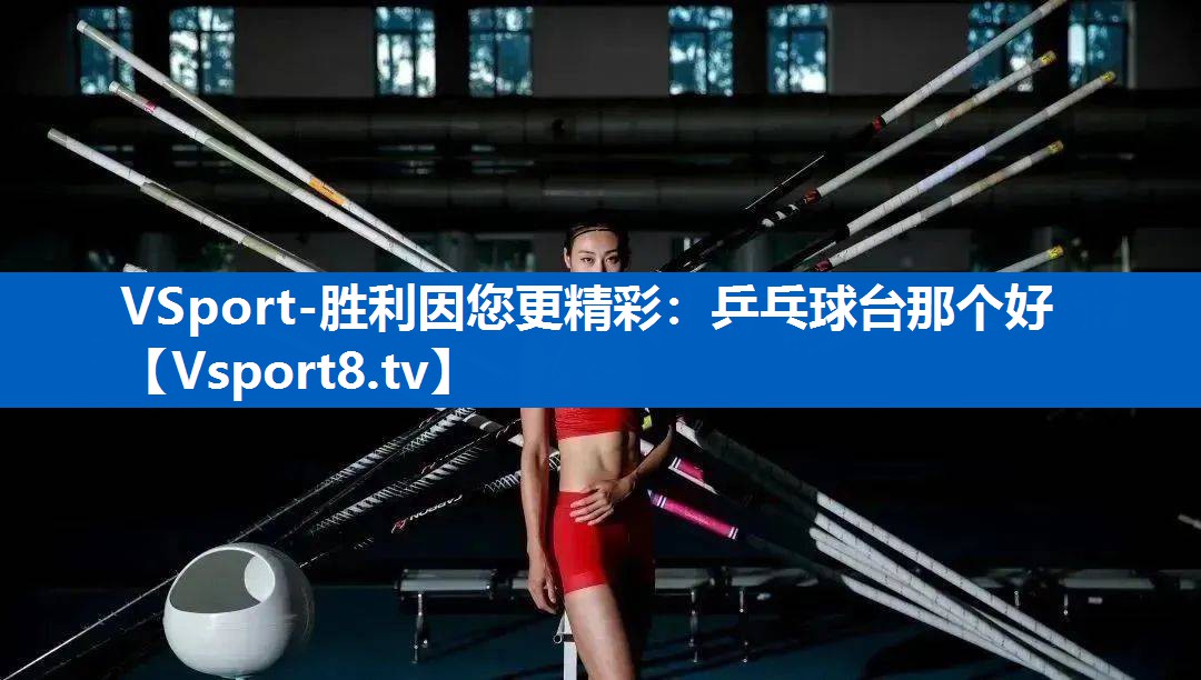 乒乓球台那个好