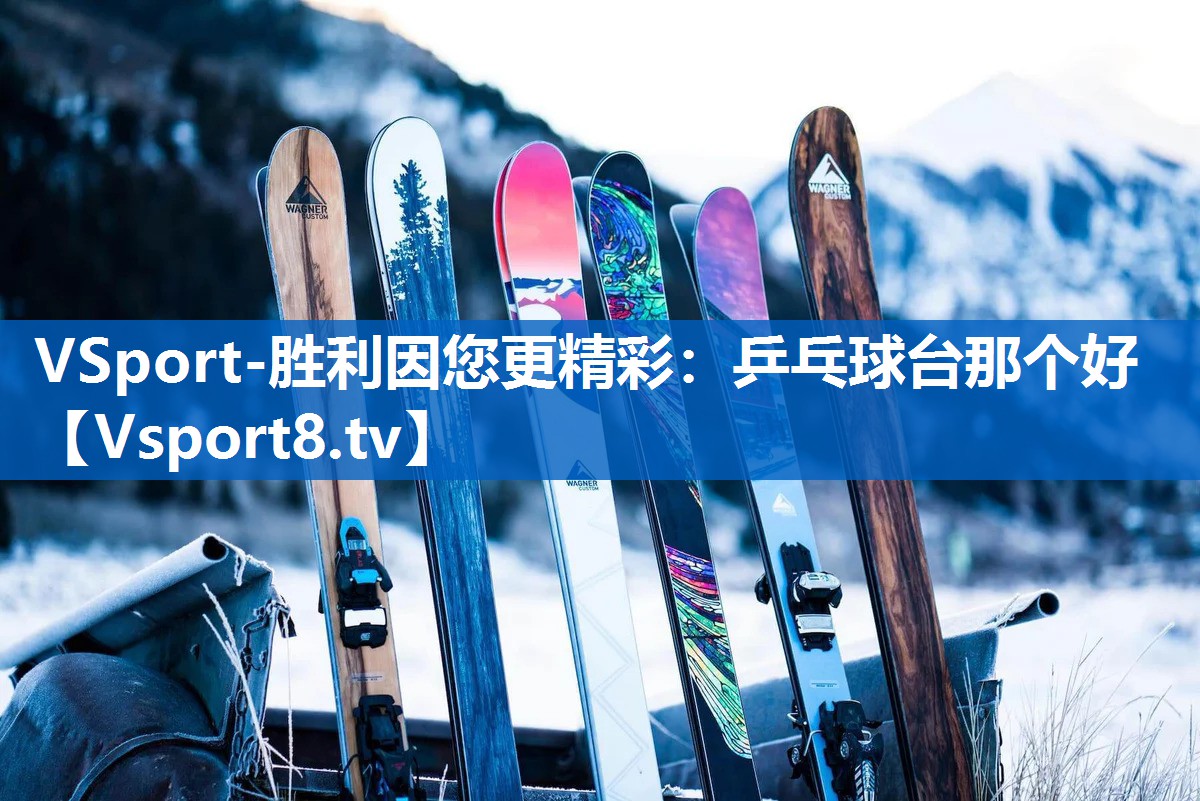 乒乓球台那个好